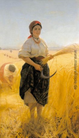 Mähdrescher Mähdrescher
