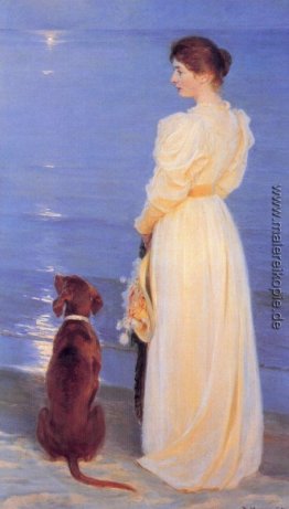 Sommer-Abend bei Skagen Sommer-Abend bei Skagen