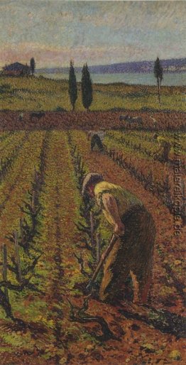 Farmer Farmer