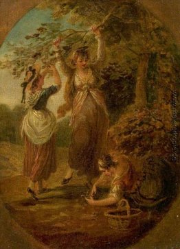 Die Nuss-Sammler Die Nuss-Sammler