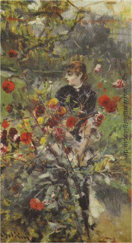 Die Sommer-Rosen Die Sommer-Rosen