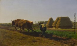 Pflügen Szene Pflügen Szene
