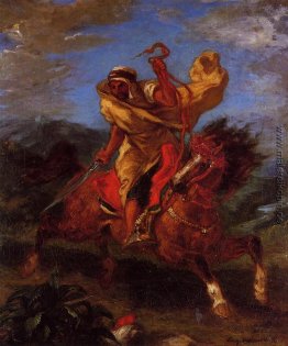 Ein arabischer Reiter am Galopp Ein arabischer Reiter am Galopp