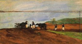 Lakeshore Lakeshore