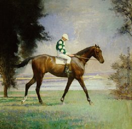 Thoroughbred mit Jockey up Thoroughbred mit Jockey up