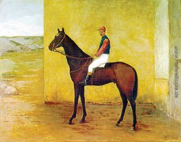 Jockey und Pferd Jockey und Pferd
