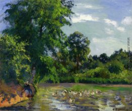 Enten auf dem Teich am Montfoucault Enten auf dem Teich am Montfoucault