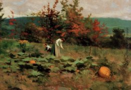 Pumpkin Patch Pumpkin Patch