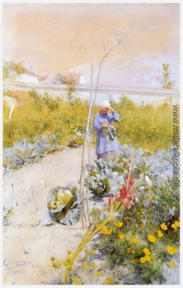 In der Küche Garten In der Küche Garten