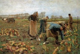 Die Rübenernte Die Rübenernte