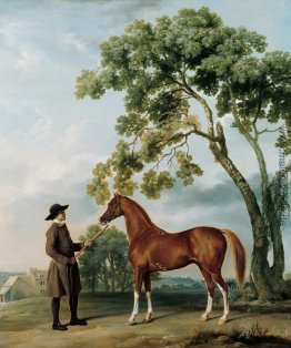 Herr Grosvenors Araber Hengst mit einem Bräutigam Herr Grosvenors Araber Hengst mit einem Bräutigam