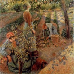 Die Apple-Pickers Die Apple-Pickers