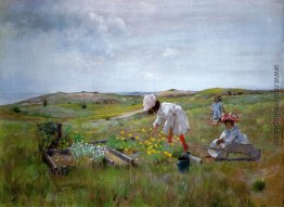 Der kleine Garten Der kleine Garten