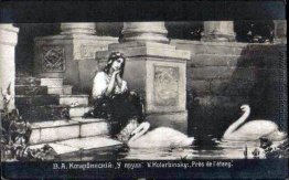 Durch den Teich Durch den Teich