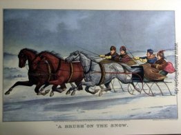 Ein Pinsel auf dem Schnee Ein Pinsel auf dem Schnee