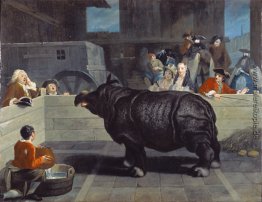 Rhinoceros in Venedig Rhinoceros in Venedig