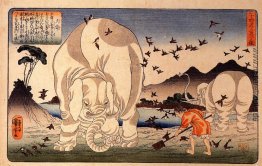 Thaishun mit Elefanten Thaishun mit Elefanten