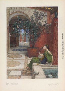 Der Oleander Der Oleander