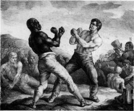 Boxer Boxer