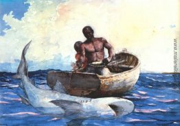 Shark Fishing Shark Fishing