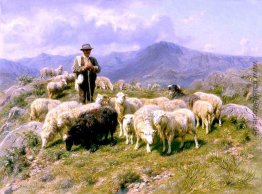 Shepherd der Pyrenäen Shepherd der Pyrenäen