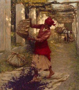 Violets für Parfüm Violets für Parfüm