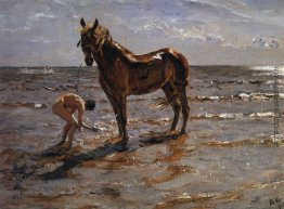 Baden Sie ein Pferd Baden Sie ein Pferd