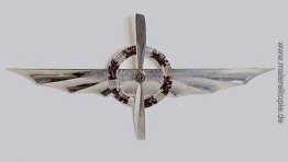Silver Wing mit Krone Silver Wing mit Krone