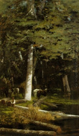 Im Wald Im Wald