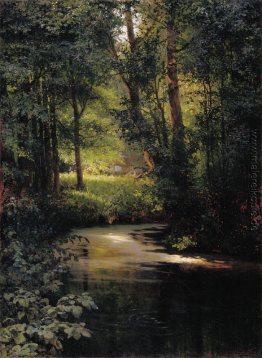 Creek im Wald Creek im Wald