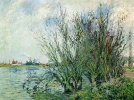 Willows, Ufer der Oise Willows, Ufer der Oise