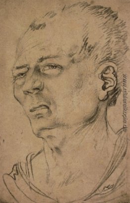 Kopf des Menschen Kopf des Menschen