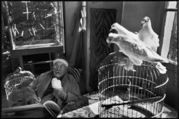 Henri Matisse in seinem Haus, Alpes-Maritimes Henri Matisse in seinem Haus, Alpes-Maritimes