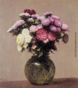 Gänseblümchen Gänseblümchen