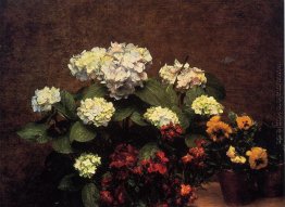 Hydrangias, Nelken und zwei Töpfe Stiefmütterchen Hydrangias, Nelken und zwei Töpfe Stiefmütterchen