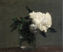 Roses Roses