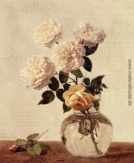 Roses Roses