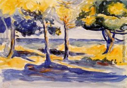 Trees by the Sea Trees by the Sea