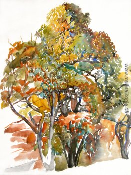 Kastanienbäume im Herbst in Antagnes, Schweiz Kastanienbäume im Herbst in Antagnes, Schweiz