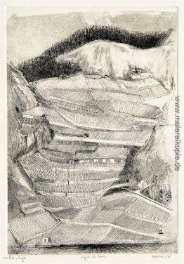 Weinbergen genannt En Noche - Landschaft in der Nähe von Aigle i Weinbergen genannt En Noche - Landschaft in der Nähe von Aigle i
