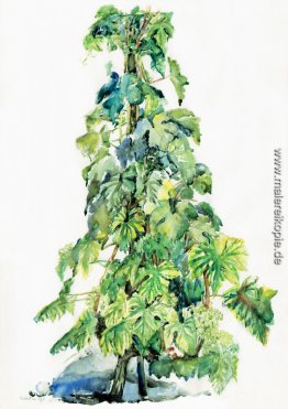 Weinstock im Frühjahr - Aquarell in der Schweiz Weinstock im Frühjahr - Aquarell in der Schweiz
