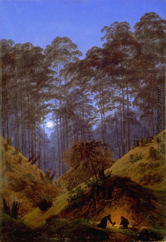 Im Wald unter dem Mondschein
