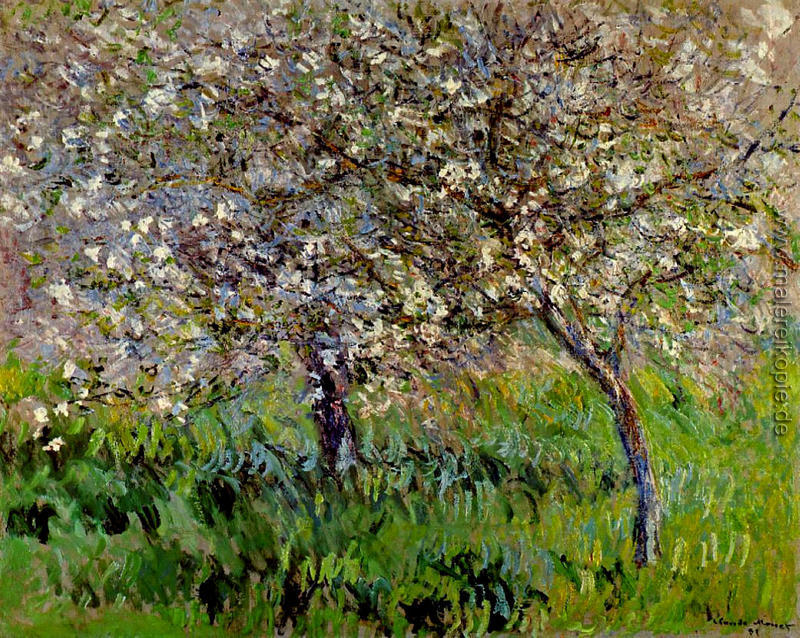Apfelbäume in der Blüte bei Giverny