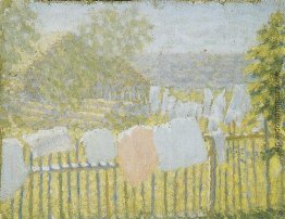 Unterwäsche auf dem Zaun Unterwäsche auf dem Zaun