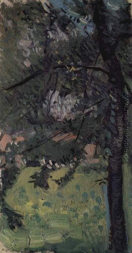 Studium der Baum Studium der Baum