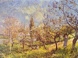 Obstgarten im Frühjahr Obstgarten im Frühjahr