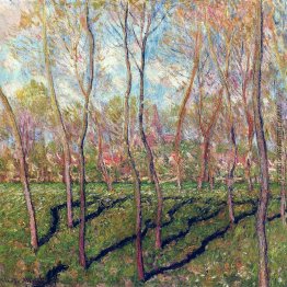 Bäume im Winter, Blick von Bennecourt Bäume im Winter, Blick von Bennecourt