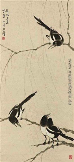 Magpies Magpies