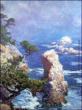 Nebel über Point Lobos Nebel über Point Lobos