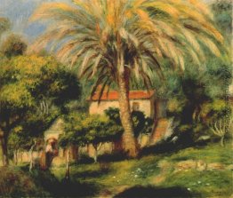 Die Palme Die Palme